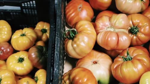 tomato