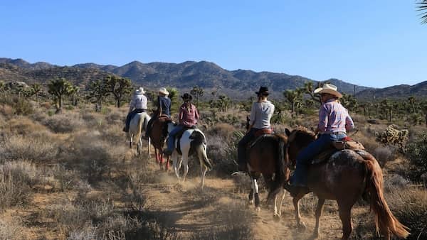 Knob Hill Ranch at Joshua Tree National Park