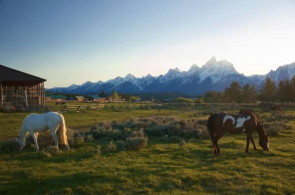 Triangle X Ranch - WY