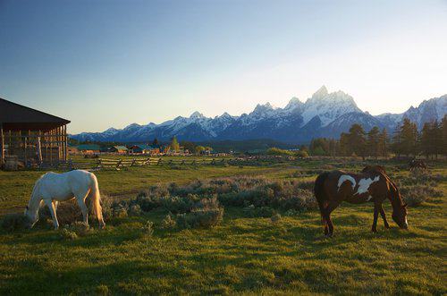 triangle-x-ranch-wyoming