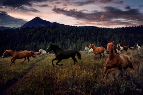 Lone Mountain Ranch MT