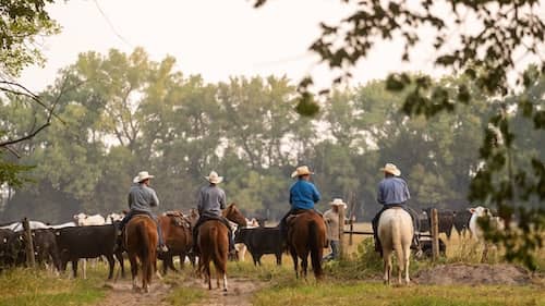 Wagonhammer Ranches NE