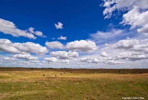 Wagonhammer Ranches NE