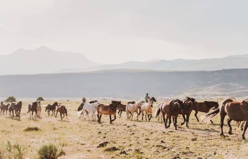 West Creek Ranch - Montana