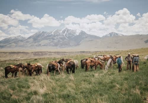 West Creek Ranch - Montana