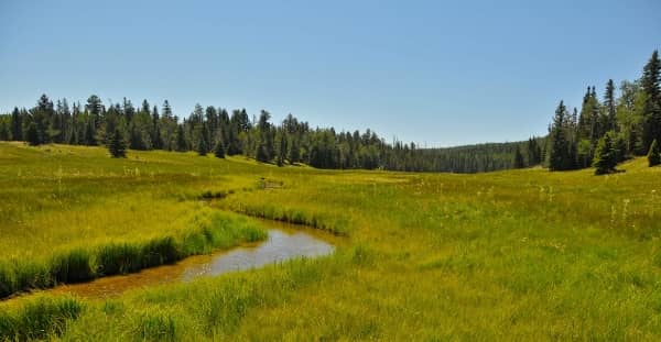 Wheaton Creek Ranch - NM