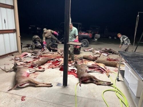 Magnum Guide Service TX