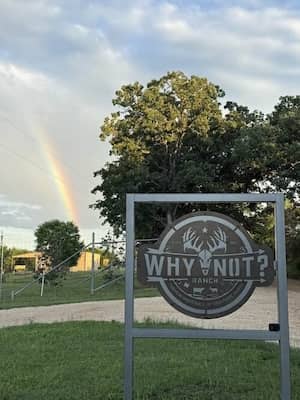 Why Not? Ranch TX