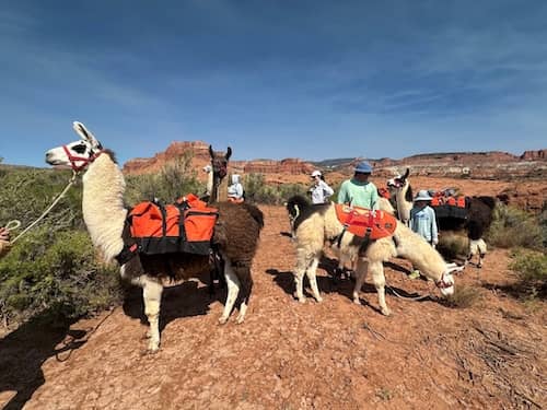 Wilderness Ridge Adventures Utah