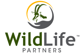 Wildlife Partners