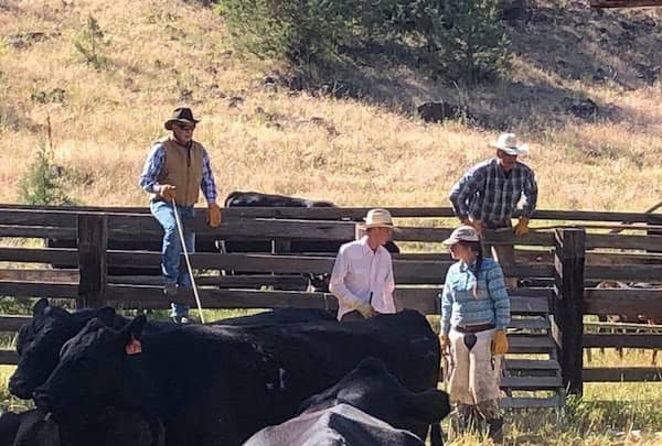 Wilson Ranches Retreat - Oregon